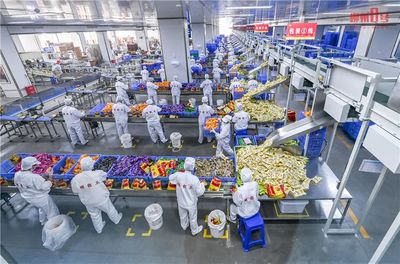 揭秘工业化的美味 探访袋装柳州螺蛳粉生产车间