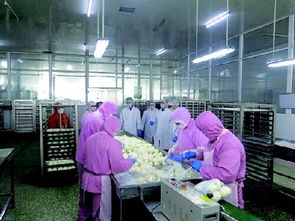 严惩违禁食品生产 某公司被重罚14万元的警示