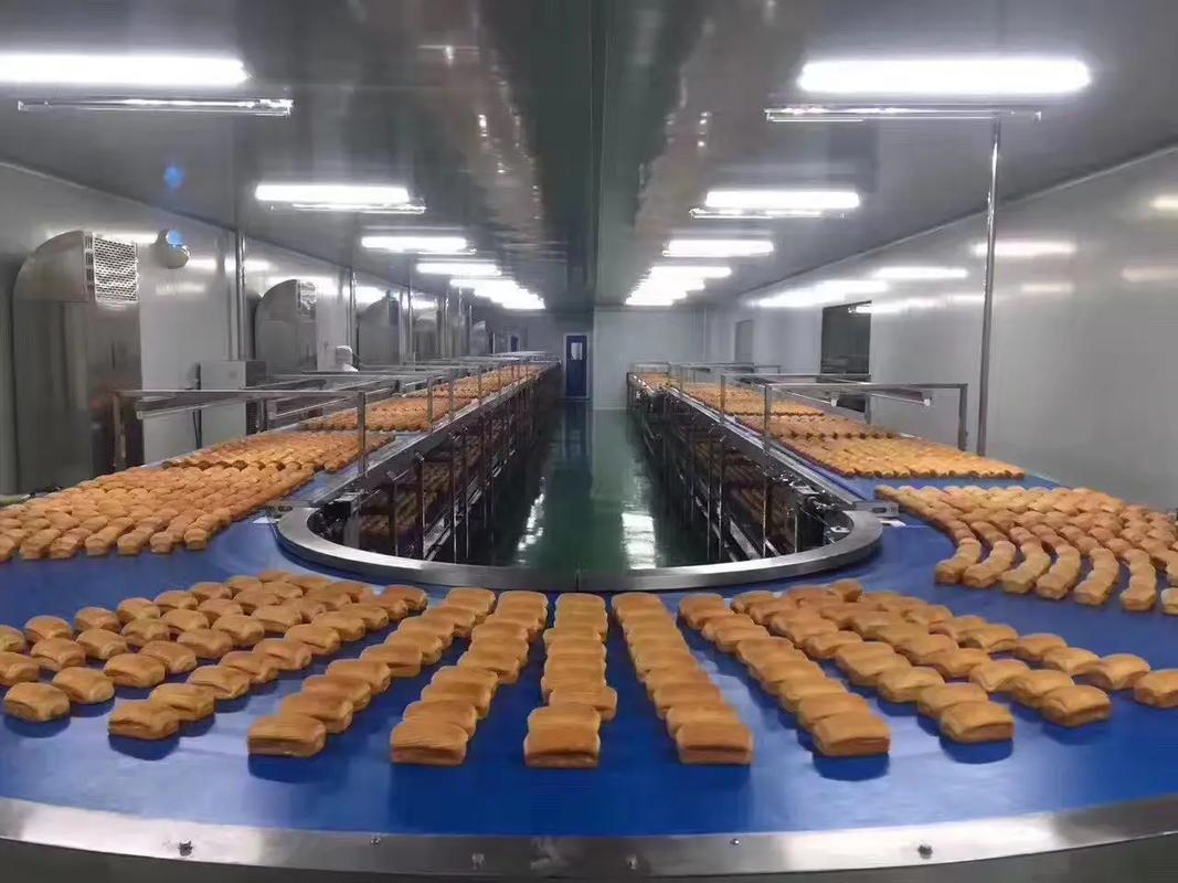 食品工厂自动化生产线全面升级，开启高效生产新篇章