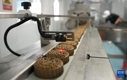 山东新泰 食品生产企业月饼制作生产忙 食品生产稳中提质