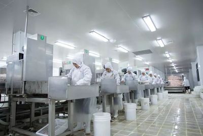 创新驱动品质升级 有友食品的重庆制造探索民营经济高质量发展新路径